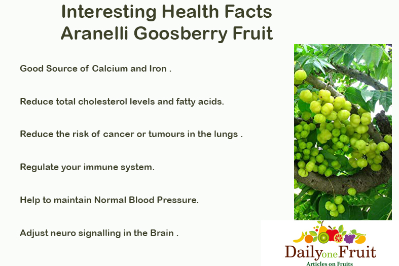 interesting Health Facts On Aranelli goosberry fruit