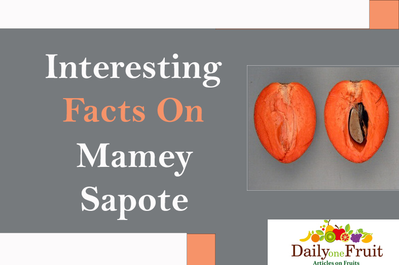 interesting-facts-on-mamey-sapote
