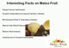 Interesting Facts On Matoa Fruit interesting-facts-on-matoa-fruit