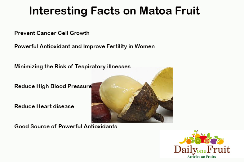 Interesting Facts On Matoa Fruit