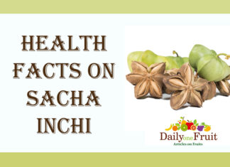 Sacha Inchi Health Benefits Facts Sacha Inchi Facts and Health Benefits