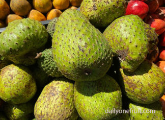 Reason for Smart move towards Sugar Apple Fruit Difference between Sugar Apple or Custard Apple?